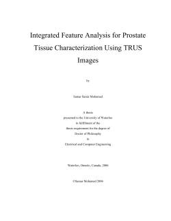 Integrated Feature Analysis for Prostate Tissue Characterization Using TRUS Images
