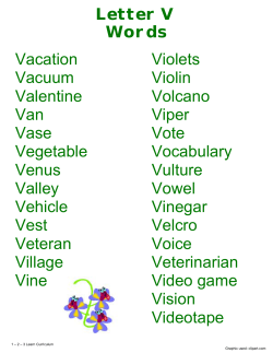 Letter V Words Vacation Violets
