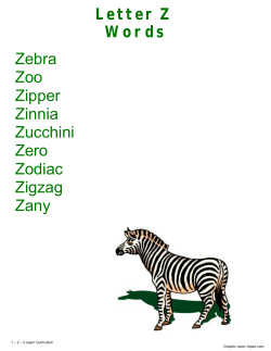 Letter Z Words Zebra Zoo