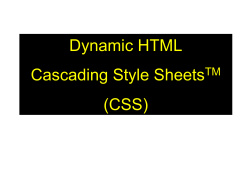 Dynamic HTML Cascading Style Sheets (CSS) TM