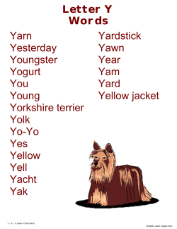Letter Y Words Yarn Yardstick