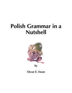 Polish Grammar in a Nutshell  by