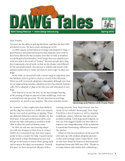 Dear Friends, Best Dawg Rescue  •  www.dawg-rescue.org