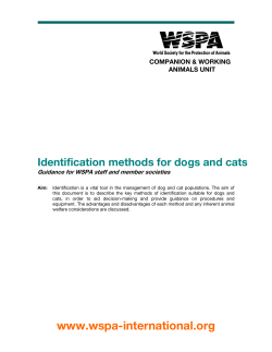 Identification methods for dogs and cats  COMPANION &amp; WORKING ANIMALS UNIT