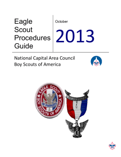 2013  Eagle Scout