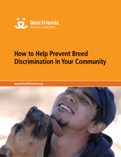How to Help Prevent Breed Discrimination in Your Community www.bestfriends.org