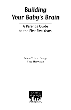 Building Your Baby’s Brain A Parent’s Guide to the First Five Years