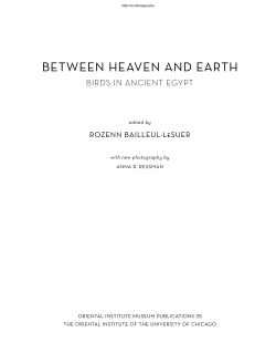 Between Heaven and eartH Birds in Ancient egypt rozenn Bailleul-leSuer
