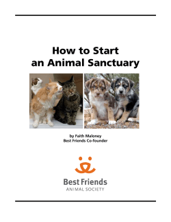 How to Start an Animal Sanctuary by Faith Maloney Best Friends Co-founder