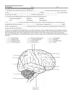 Brain Structure/Function Review  Physiology 2 Name: