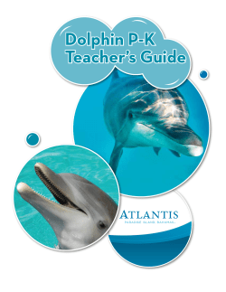 Dolphin P-K Teacher’s Guide