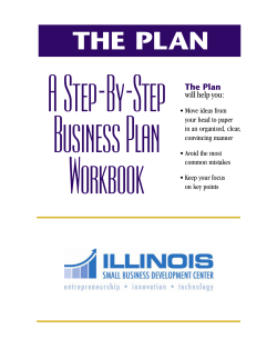A Step-By-Step BusinessPlan Workbook THE PLAN
