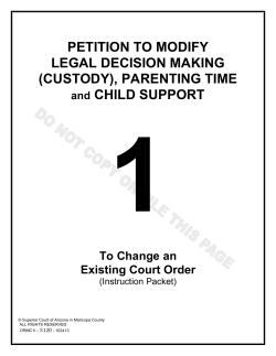 1 PETITION TO MODIFY LEGAL DECISION MAKING (CUSTODY), PARENTING TIME