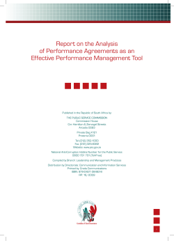 Report on the Analysis of Performance Agreements as an