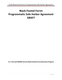 Black-Footed Ferret Programmatic Safe Harbor Agreement DRAFT