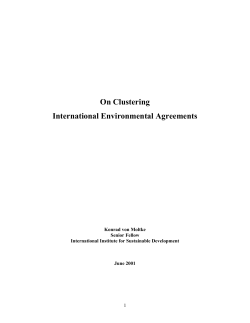 On Clustering International Environmental Agreements 1