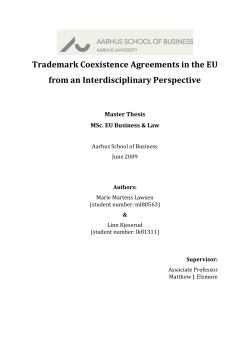 Trademark Coexistence Agreements in the EU from an Interdisciplinary Perspective  Master Thesis