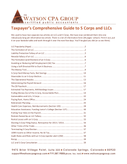 Taxpayer’s Comprehensive Guide to S Corps and LLCs