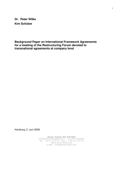 Dr.  Peter Wilke Kim Schütze  Background Paper on International Framework Agreements