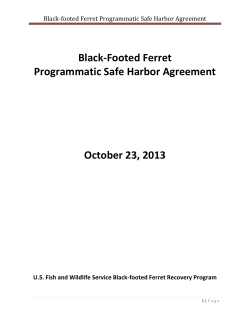 Black-Footed Ferret Programmatic Safe Harbor Agreement October 23, 2013