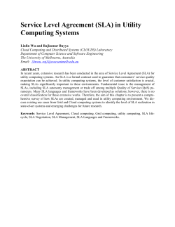 Service Level Agreement (SLA) in Utility Computing Systems