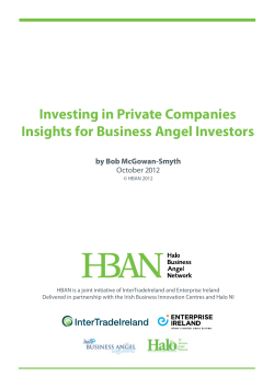 Investing in Private Companies Insights for Business Angel Investors by Bob McGowan-Smyth