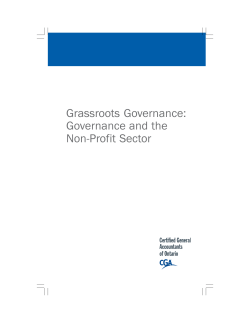 Grassroots Governance: Governance and the Non-Profit Sector ❘