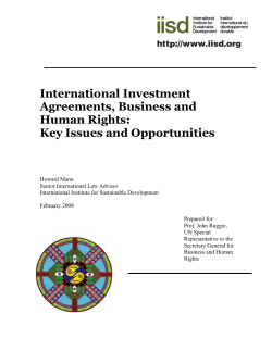 International Investment Agreements, Business and Human Rights: Key Issues and Opportunities