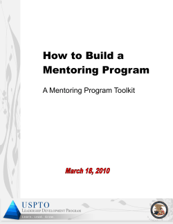 How to Build a Mentoring Program A Mentoring Program Toolkit