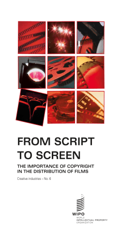 FROM SCRIPT TO SCREEN THE IMPORTANCE OF COPYRIGHT IN THE DISTRIBUTION OF FILMS