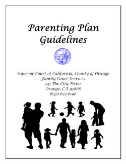 Parenting Plan Guidelines