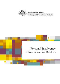 Personal Insolvency Information for Debtors