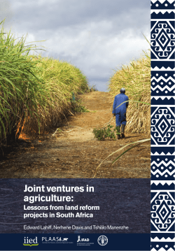Joint ventures in agriculture: Lessons from land reform projects in South Africa