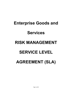 Enterprise Goods and Services RISK MANAGEMENT SERVICE LEVEL