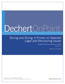 Slicing and Dicing: A Primer on Selected Legal and Structuring Issues