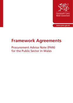 Framework Agreements Procurement Advice Note (PAN) for the Public Sector in Wales