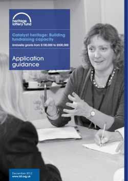 Application guidance Catalyst heritage: Building fundraising capacity