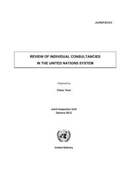 REVIEW OF INDIVIDUAL CONSULTANCIES IN THE UNITED NATIONS SYSTEM  Cihan Terzi