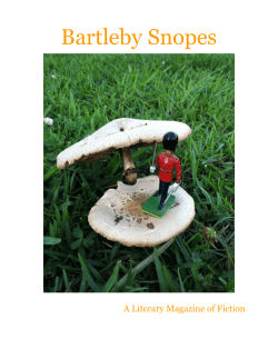 Bartleby Snopes A Literary Magazine of Fiction
