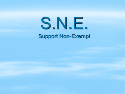 S.N.E. Support Non-Exempt
