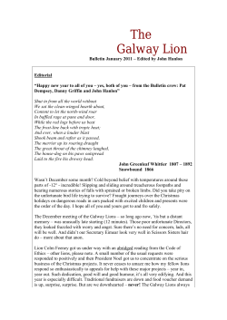 The Galway Lion
