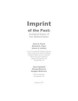 Imprint of the Past: Ecological History of