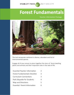 Forest Fundamentals