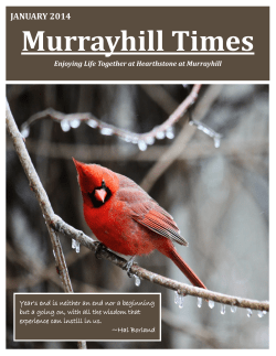Murrayhill Times JANUARY 2014