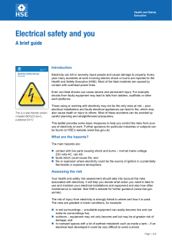 Electrical safety and you A brief guide Introduction