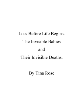 Loss Before Life Begins. The Invisible Babies and