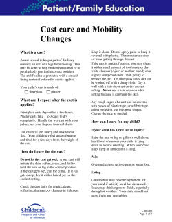 Cast care and Mobility Changes  What is a cast?