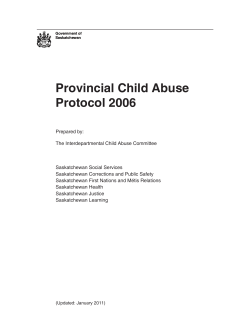 Provincial Child Abuse Protocol 2006
