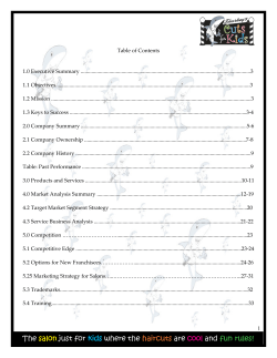 Table of Contents 1.0 Executive Summary .............................................................................................................................3