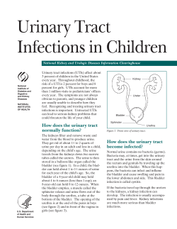 Urinary Tract Infections in Children National Kidney and Urologic Diseases Information Clearinghouse